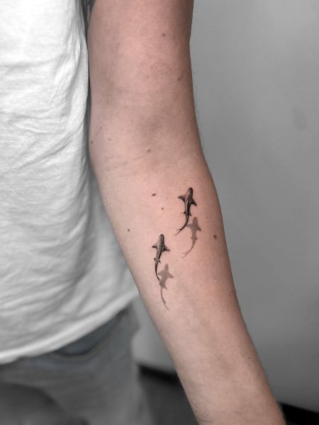 genrava_tattoo_sharks_fish_shadow